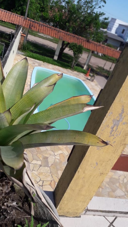 Casa à venda no Laranjal - Piscina